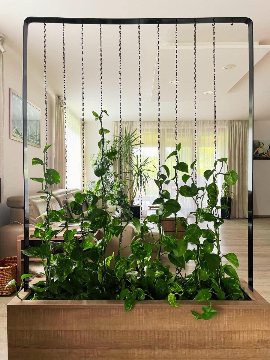 Mobilní rostlinný paravan umístěný v obývacím pokoji