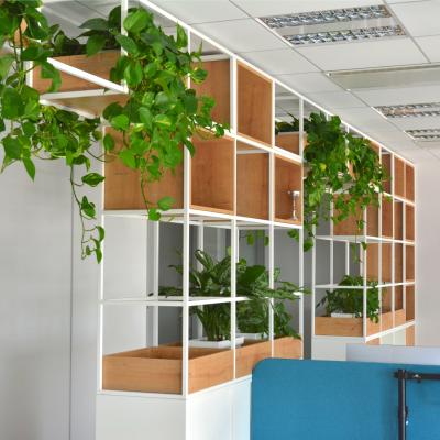 Rostliny v nábytkové stěně dělící kancelář