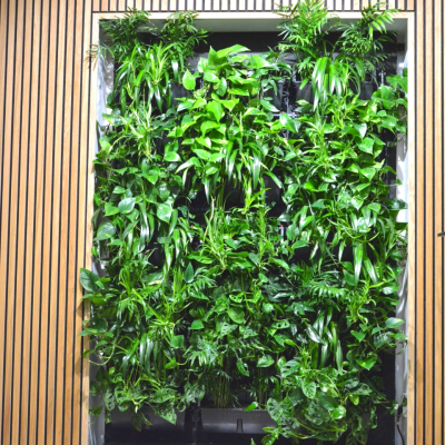 Zelená stěna má své místo i ve firemním interiéru