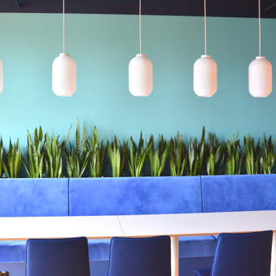 Barevný interiér ladění do modré barvy s rostlinami v nábytku