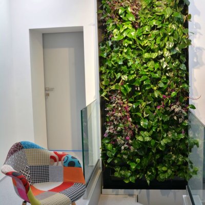 Stabilní zelená stěna krásně doplňuje interiér společnosti