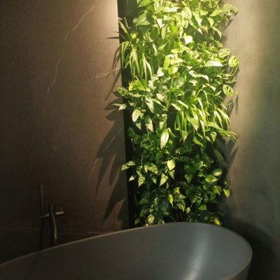 Zelená stěna v koupelně je propojená s chytrou domácností