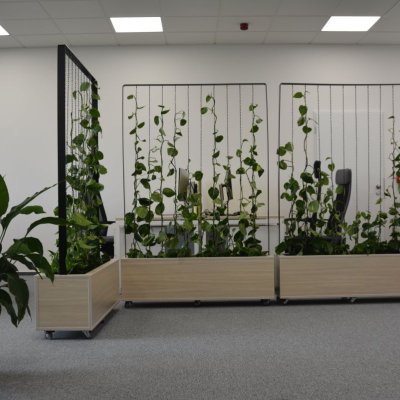 Mobilní zelené stěny na míru pro kancelář