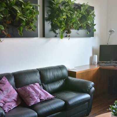 Obývací pokoj s rostlinnými obrazy umístěnými nad sedačkou