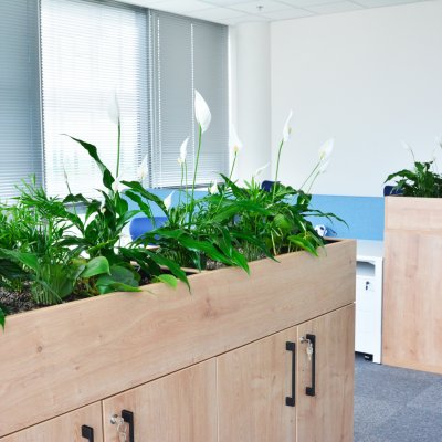 Útulná kancelář se světlým nábytkem doplněná o zelené rostliny