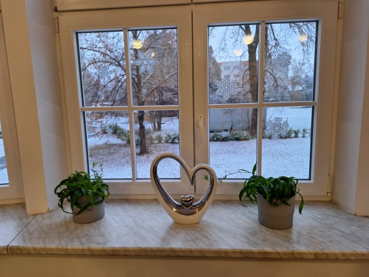 Interierove-rostliny-ve-vile-Vancurova-v-Opave