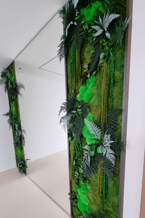 Zelená stěna ze stabilizovaných rostlin