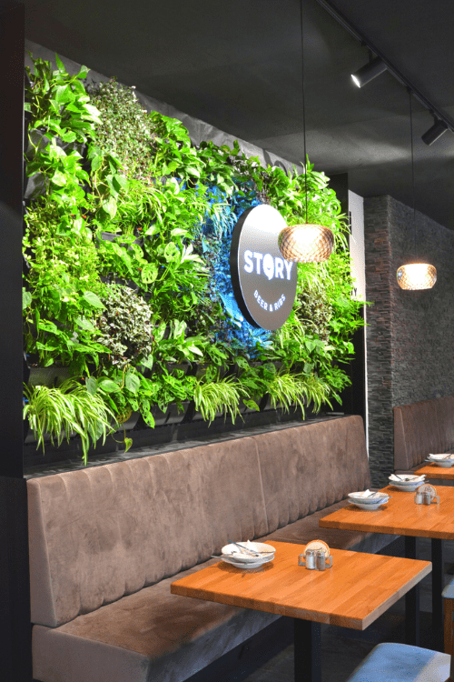 Rostlinná stěna v interiéru restaurace