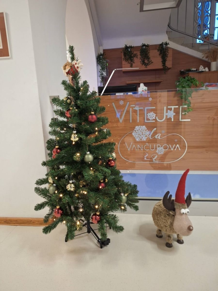 Vanocni-vyzdoba-ve-vstupnim-prostoru-Vily-Vancurovy-o.p.s.