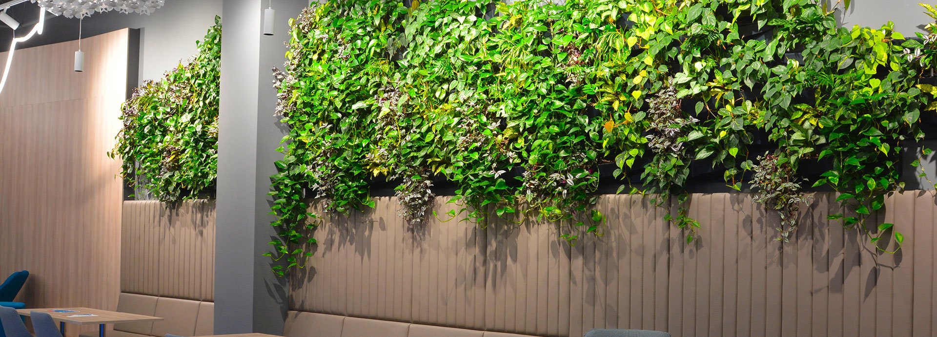 Objevte krásu vertikálních stěn z živých rostlin
