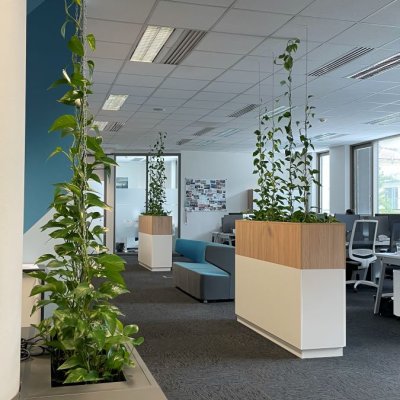 Zelené pnoucí stěny v moderní kanceláři