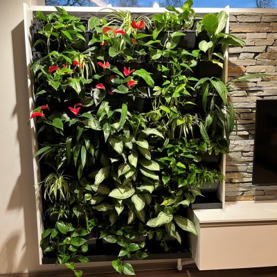 Rostlinná stěna s automatickou závlahou a osvětlením