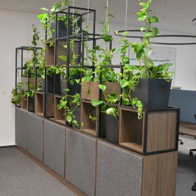 Kancelář s rostlinami v nábytku